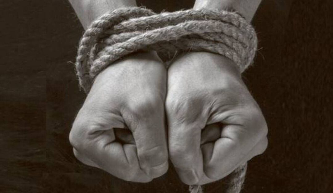 Imagen de referencia