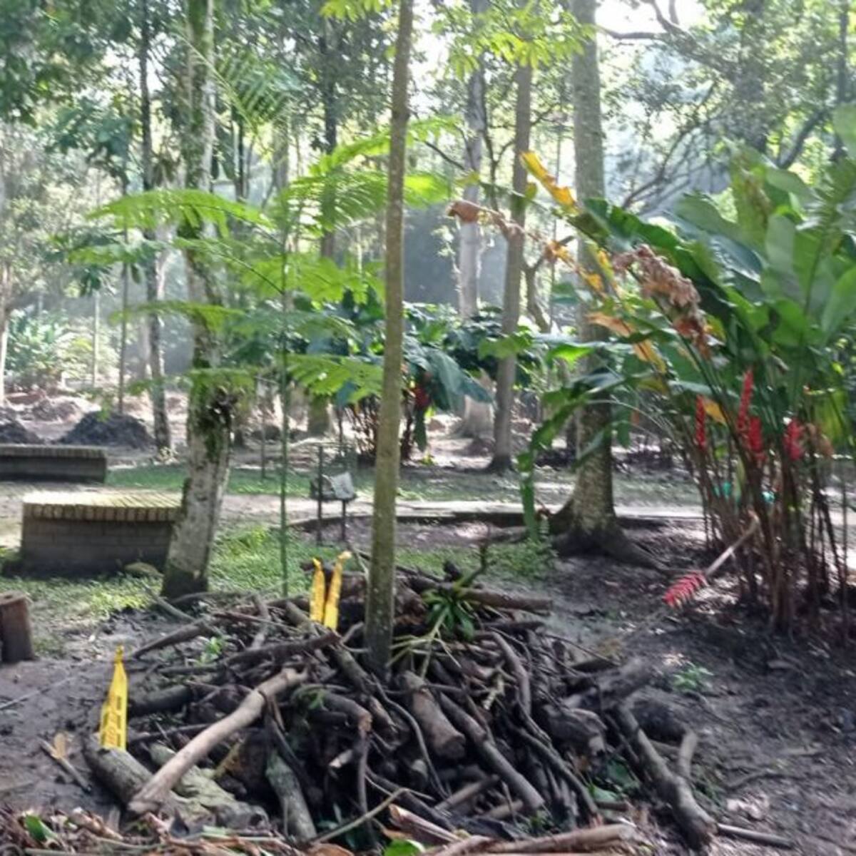 Parque La Flora estará cerrado por lo menos dos meses