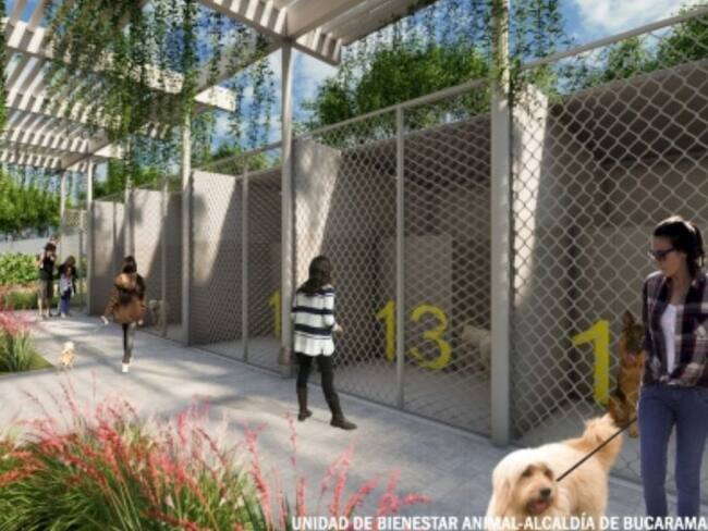 En el primer semestre de 2022 funcionaría Unidad de Bienestar Animal