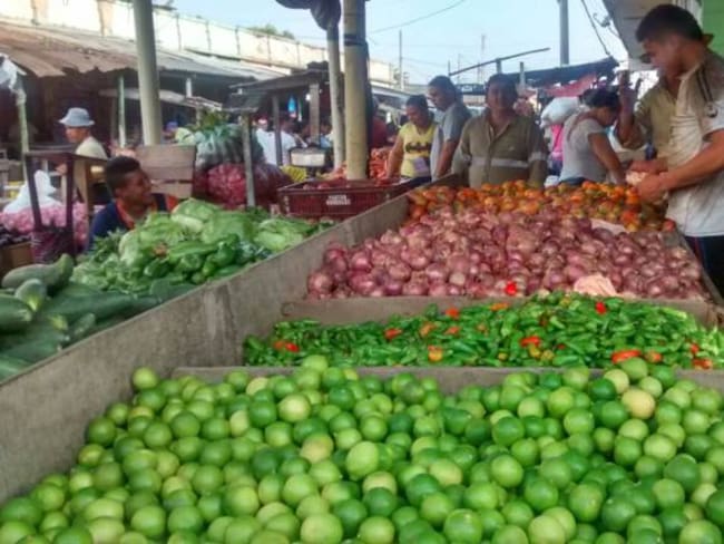 En Barranquilla, los precios de los alimentos están por el suelo