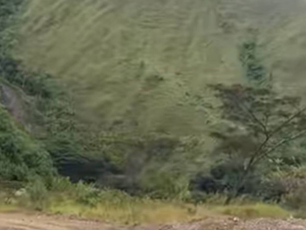 Asesinan a un firmante de los Acuerdos de Paz en Roncesvalles, Tolima