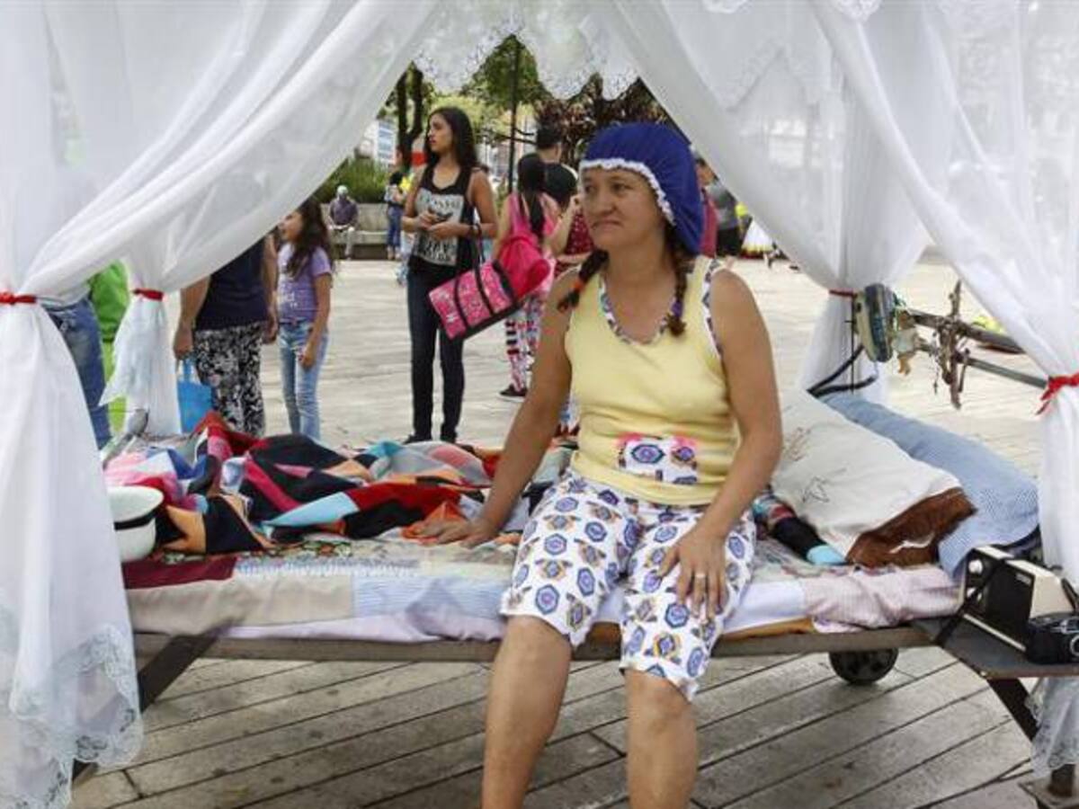 Fotos: Conozca el Día Mundial de la Pereza