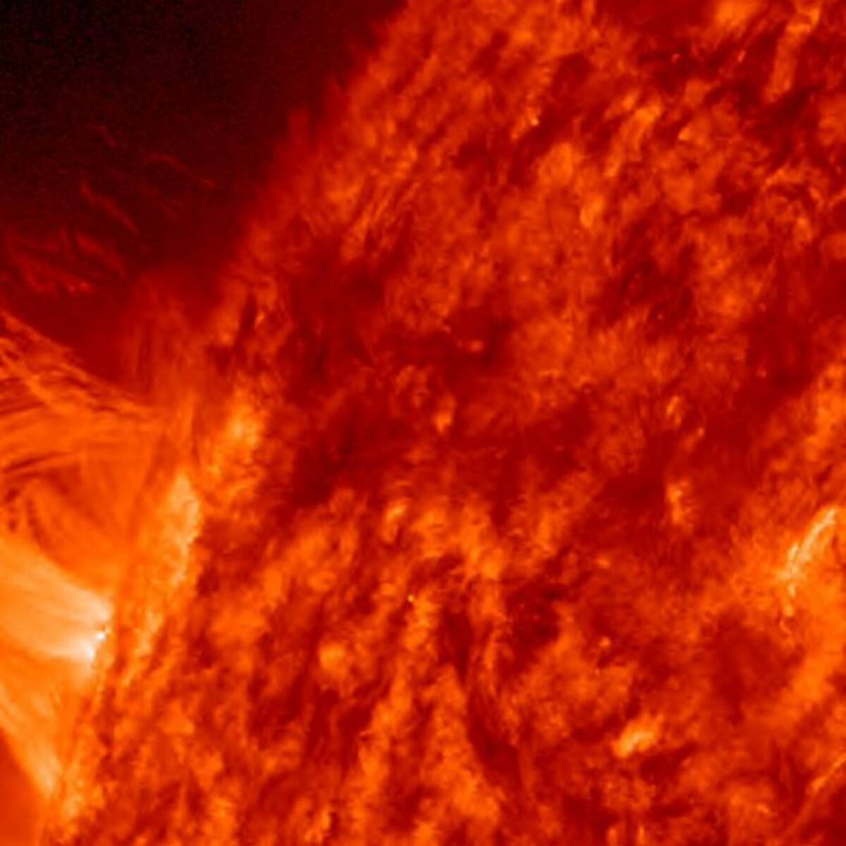 NASA reveló cómo el Sol se tragó completamente el cometa de Halloween: imágenes reales