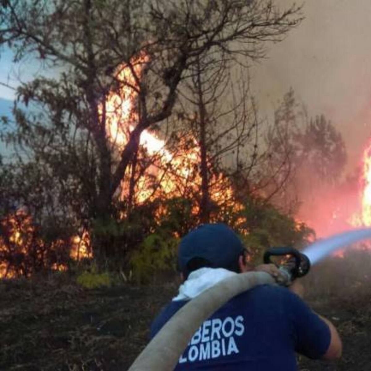 Alarma por graves incendios forestales en Somondoco y Sogamoso, Boyacá