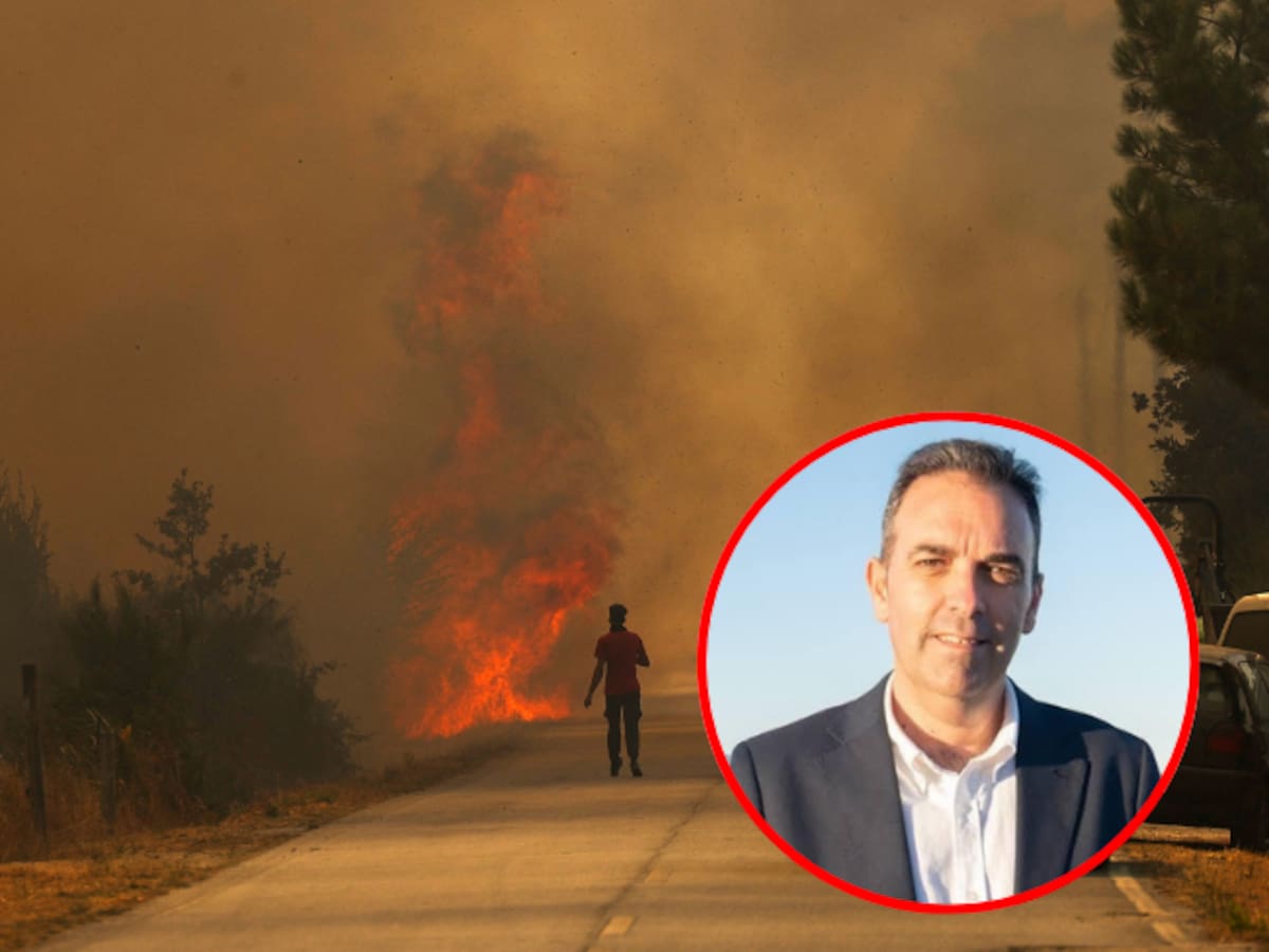 Cable eléctrico sería hipótesis del origen del incendio en Los Gallardos: Ridazo, alcalde de Antas
