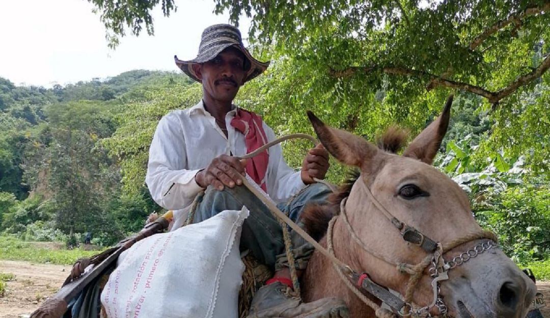 Festival dela Yuca en Las Caras