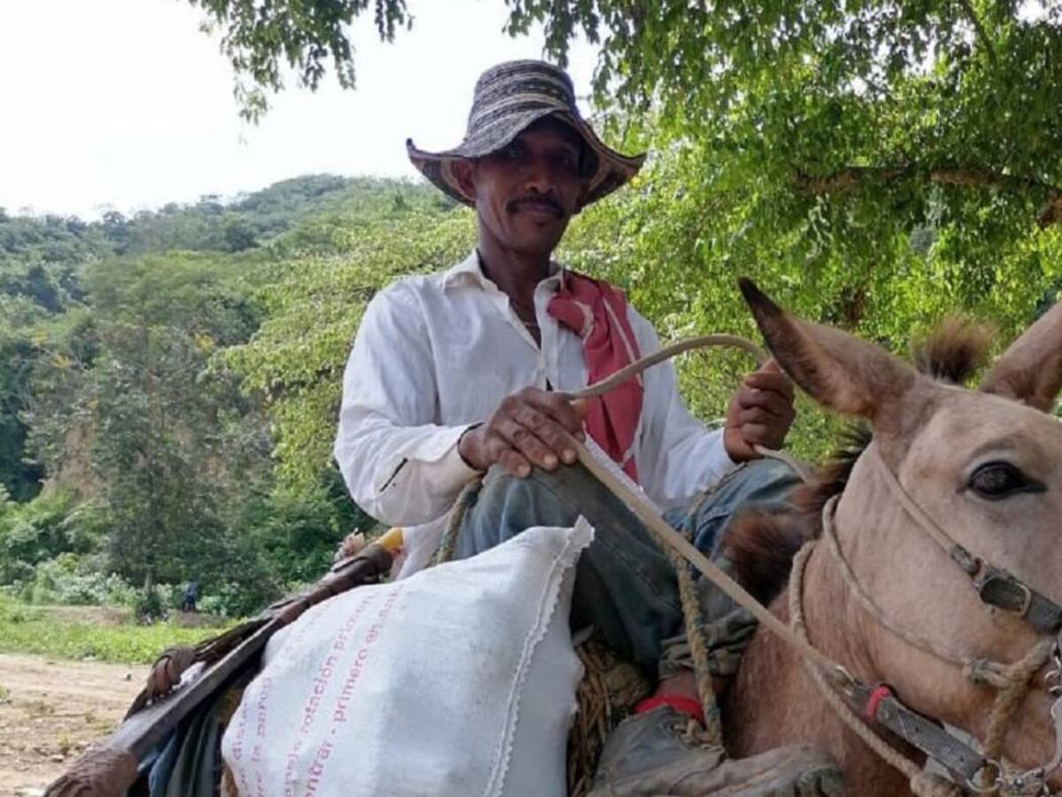 Este 5 y 6 de febrero, IX Festival de la Yuca en Las Caras- Bolívar