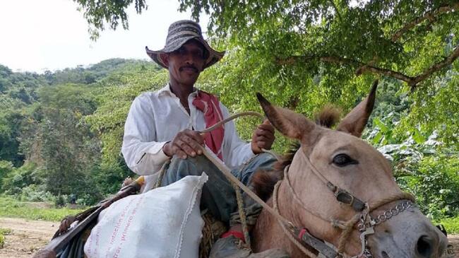 Festival dela Yuca en Las Caras