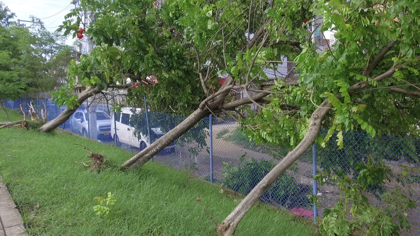 Alcaldía de Cartagena