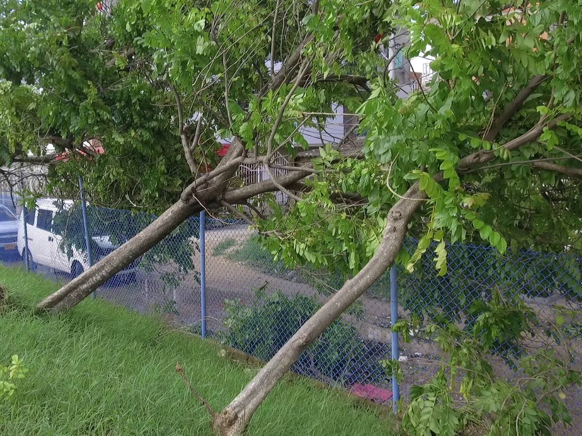 Estaciones y Patio Portal de Transcaribe sufrieron daños por vendaval en Cartagena