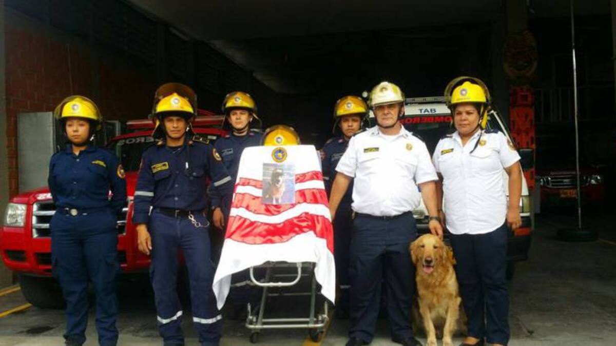 Bomberos voluntarios de Chinchiná despidieron a su mascota