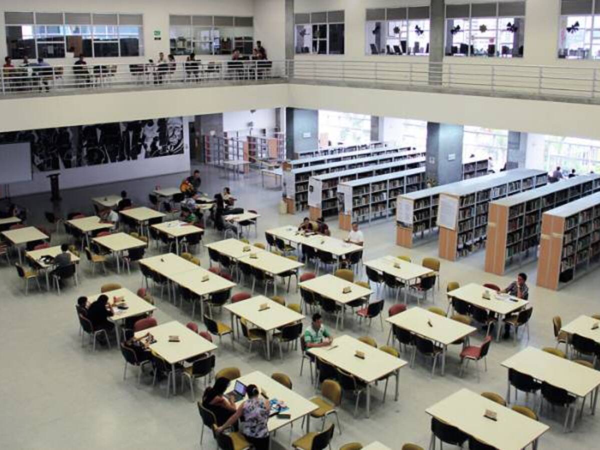 Presuntos casos de pedofilia en bibliotecas públicas de Bogotá denuncia ONG