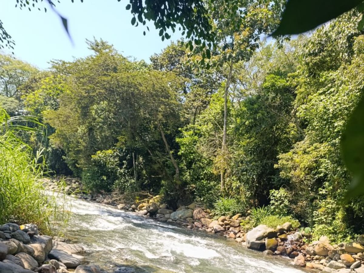 “Bañistas que vienen a Pance, están nadando entre las heces”, Denuncia ciudadana