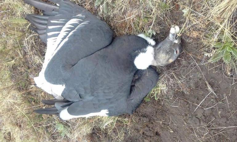 FOTOGRAFÍA ALCALDÍA DE CIÉNAGA