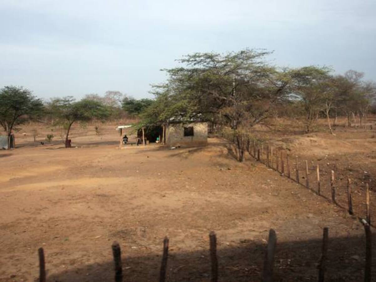 Las pérdidas por fenómeno de El Niño ascienden a $95.000 millones en el Huila