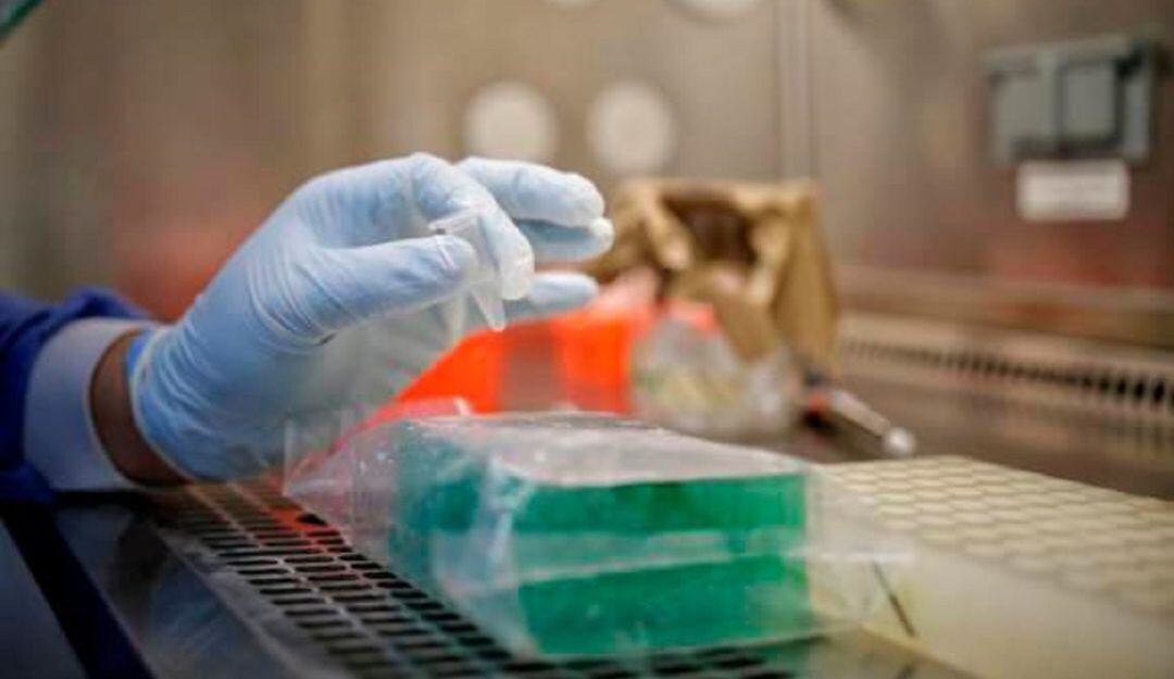 Toma de muestras covid-19