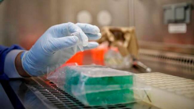 Toma de muestras covid-19