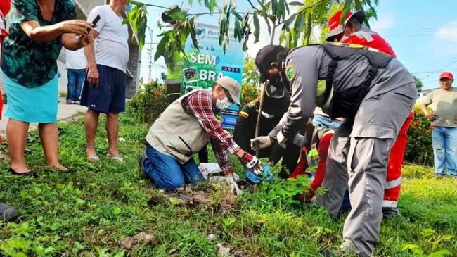 Sector contiguo a la institución educativa Pino Verde, además de basurero era usada como epicentro de actos contra las normas