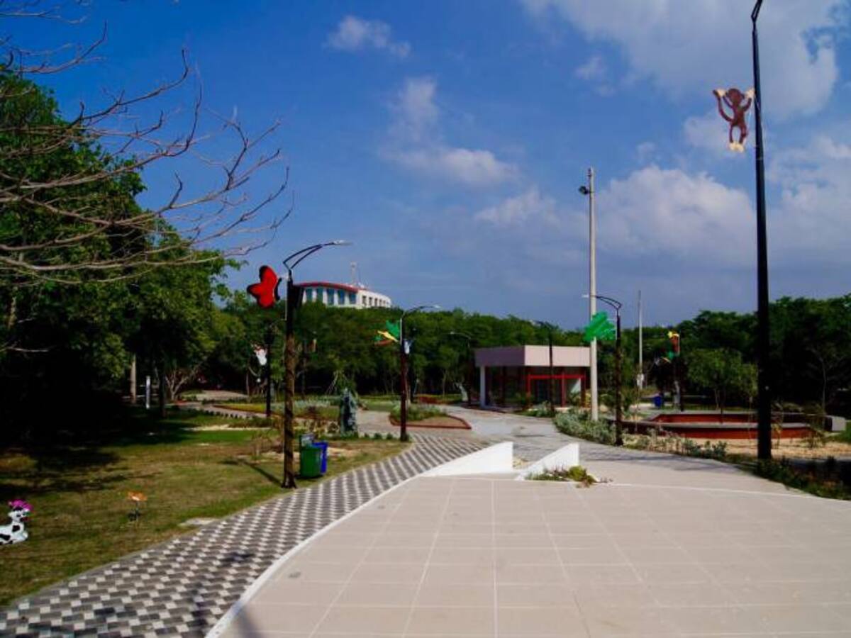 La Gobernación de Bolívar recupero para Cartagena el Espíritu del Manglar