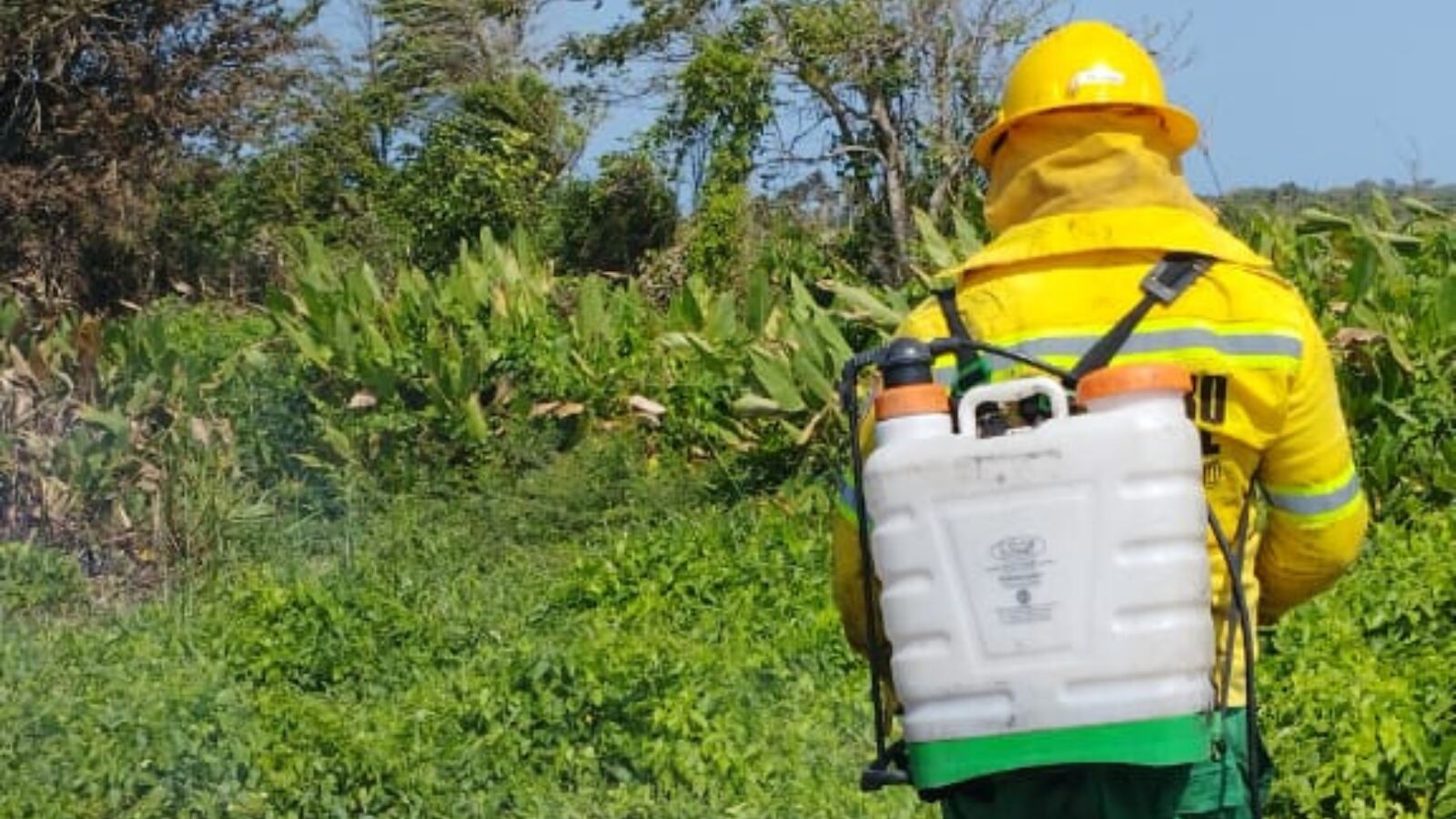 Labores de liquidación del incendio en la Isla 1972./ Foto: Bomberos de Sitio nuevo, Magdalena