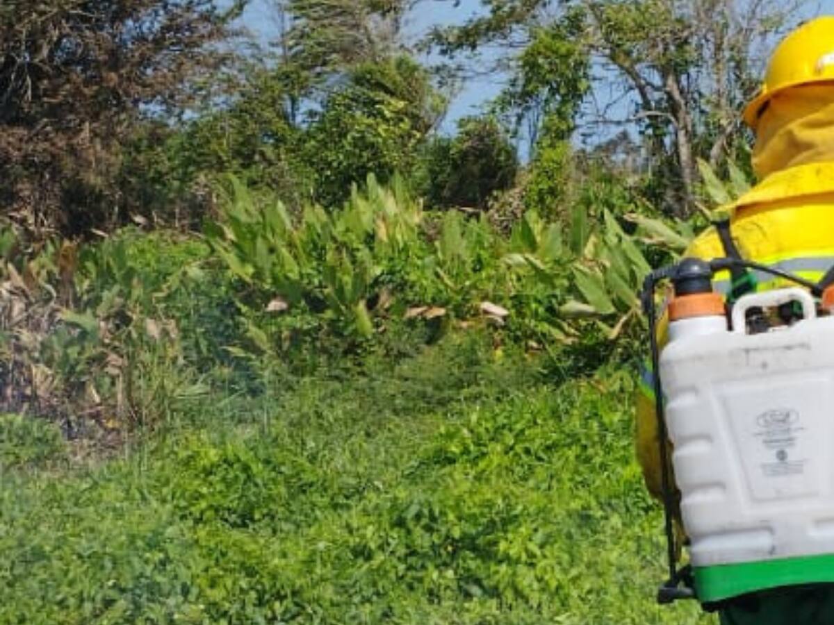 Controlan incendio en el Vía Parque Isla Salamanca que estaba afectando a Barranquilla