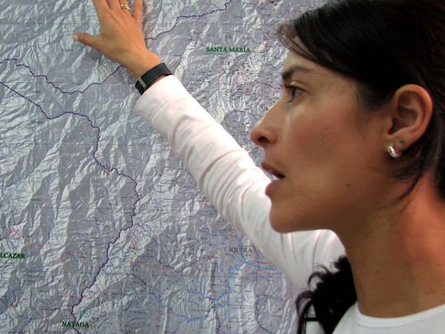 Imagen de referencia