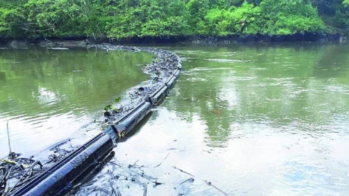 Autoridades ambientales en alerta por daño ambiental en Tibú