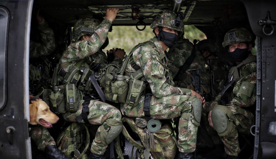 Imagen de referencia. 