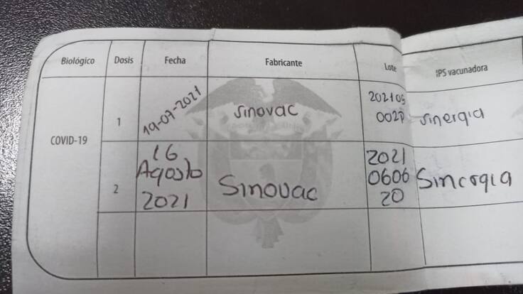 Informe carné vacunación COVID-19 Armenia