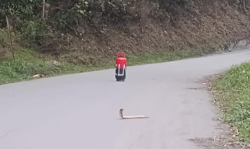 Este cilindro, presuntamente con explosivos, fue abandonado en el sector de Las Juntas en el municipio de Chivor, Boyacá / Foto: Suministrada.