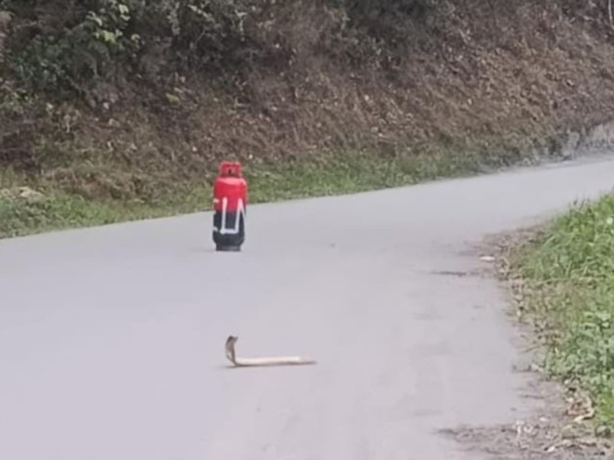 Hallan abandonado un cilindro en una vía principal de Chivor, Boyacá