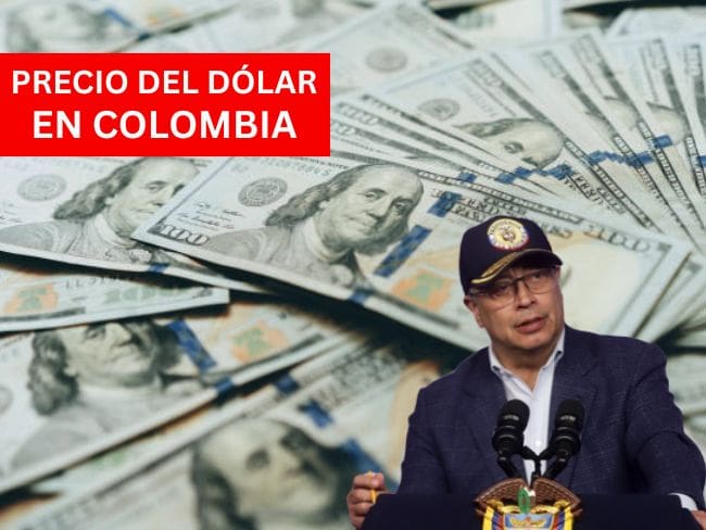 Precio del dólar en Colombia para este 3 de febrero de 2026 Foto: Getty Images