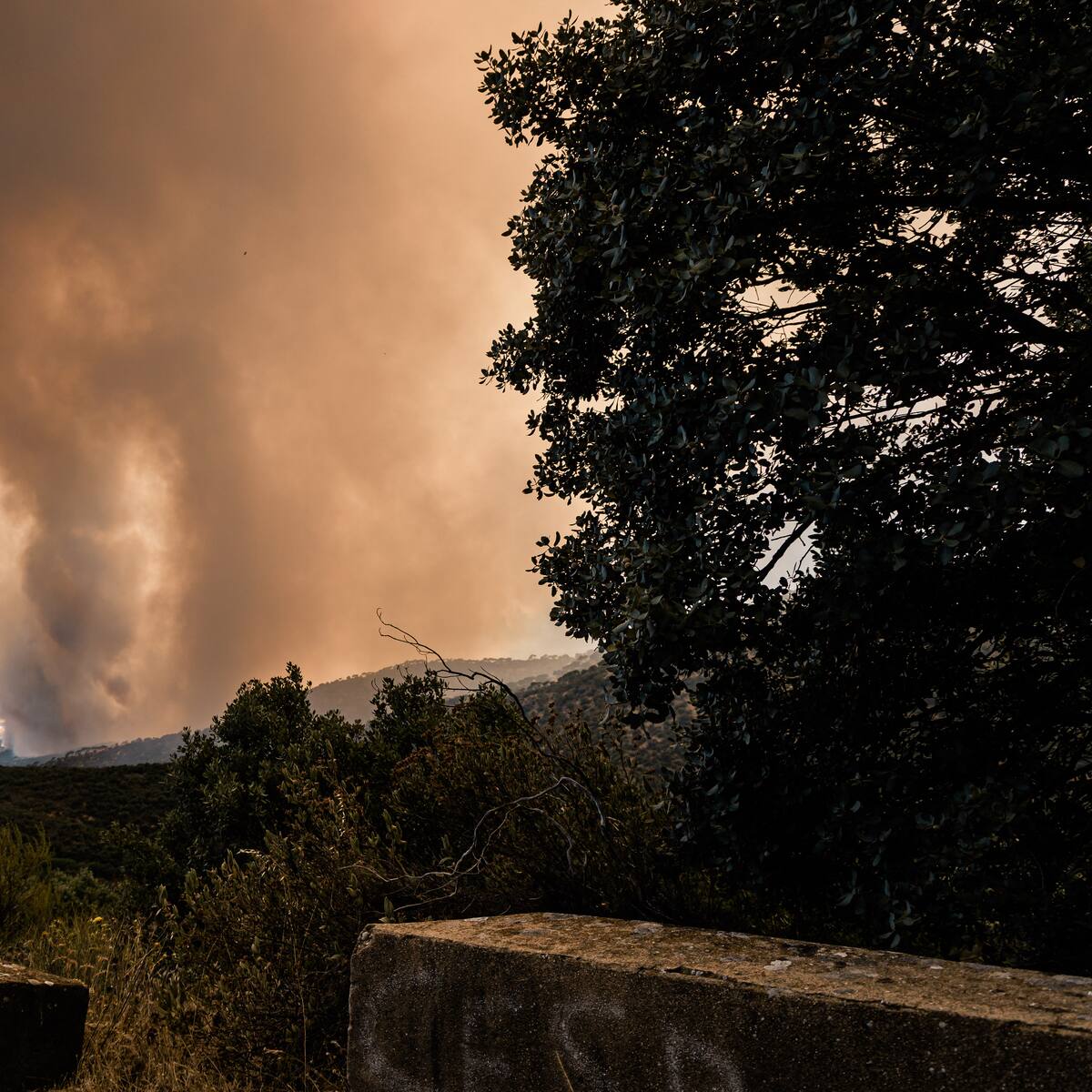 Evacúan toda la población de un pueblo cercano a Madrid por avance de incendio forestal