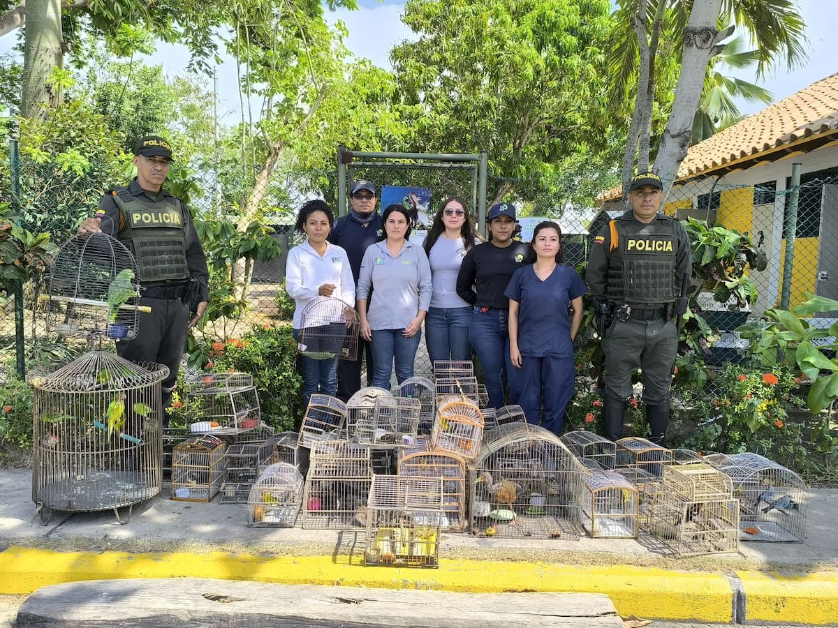 En Turbaco, Cardique lideró rescate de 70 aves silvestres en cautiverio