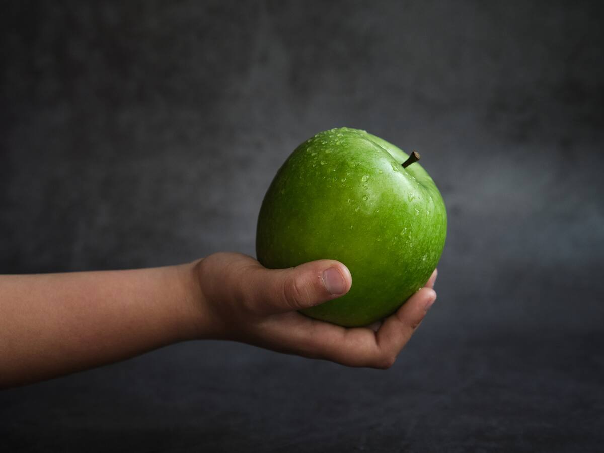 Banco de Alimentos ha entregado 23 millones de platos de comida en lo que va de 2022