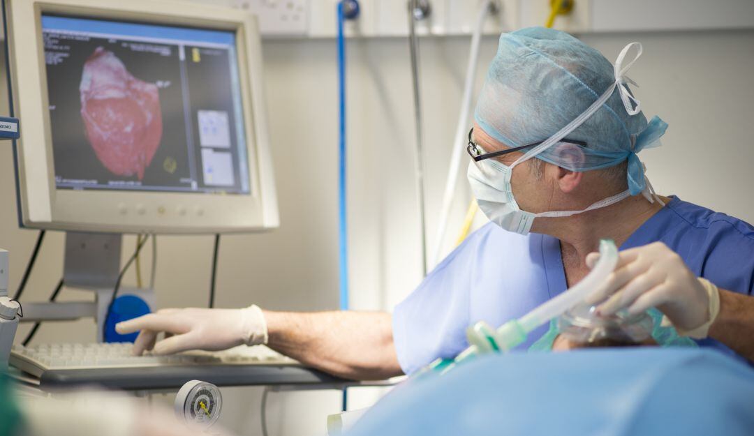 Imagen de referencia 