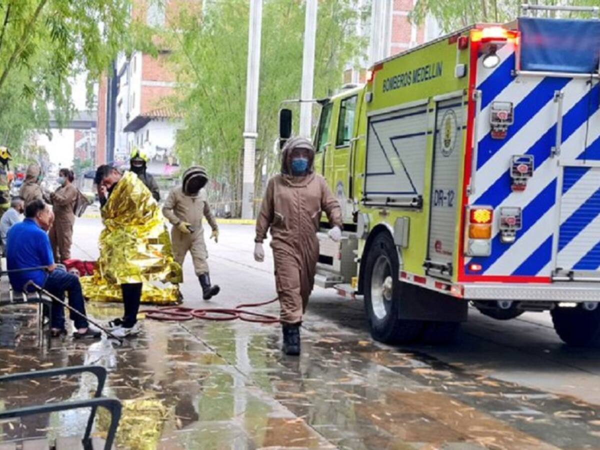 11 personas picadas dejó el ataque de un enjambre de abejas en Medellín