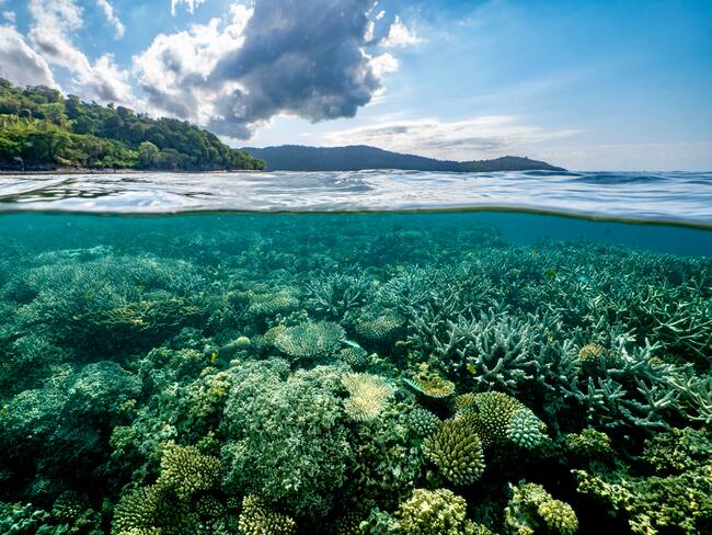 Estas son las 3 metas del Plan de Acción de Biodiversidad de Colombia al 2030