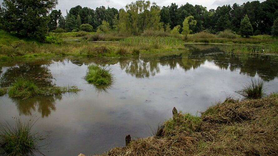 Sellados cuatro restaurantes del Centro Comercial Plaza Imperial por contaminar humedales. Foto: Colprensa