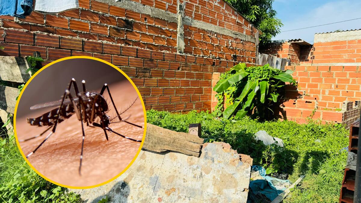 Más de 1.500 casos de dengue se han registrado en el departamento del Atlántico