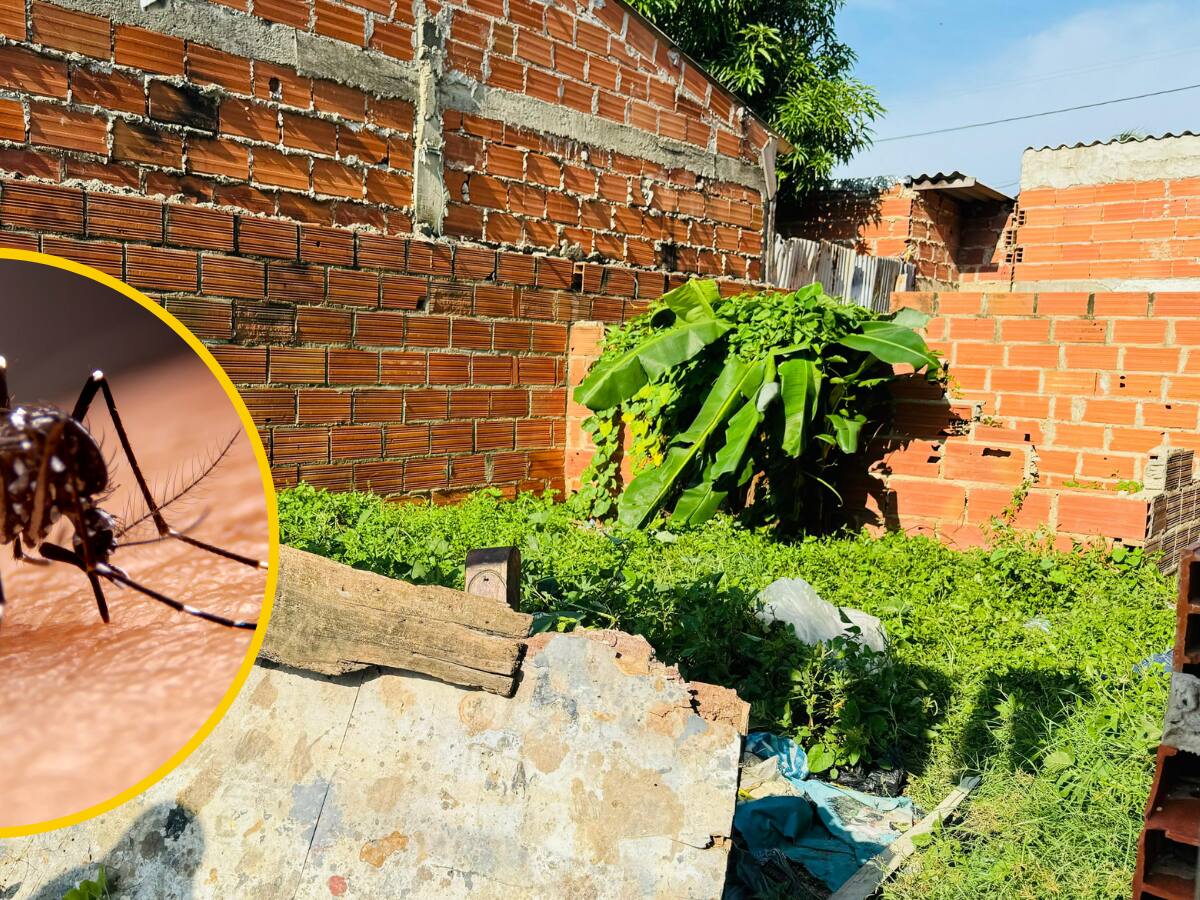 Secretaría de Salud de Santa Marta en alerta ante casos sospechosos de dengue