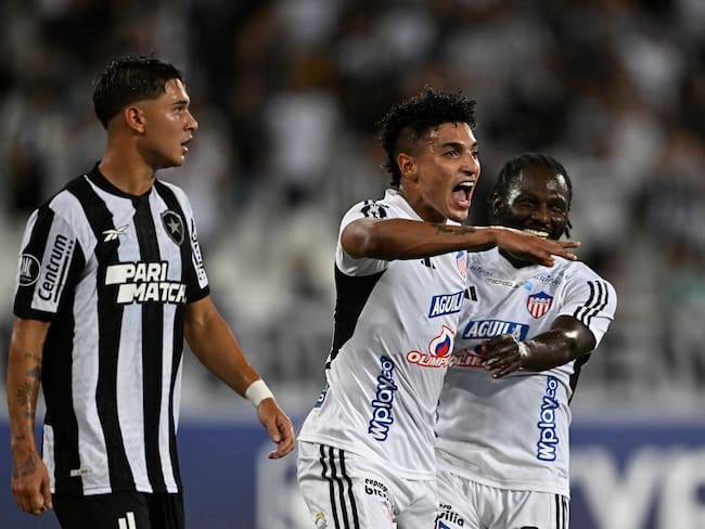 Victoria de Junior en casa del Botafogo en Copa Libertadores. (Photo by MAURO PIMENTEL/AFP via Getty Images)