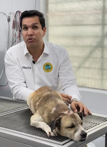 Alcaldía de Cartagena