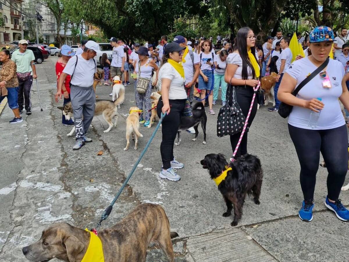 “Unidos por una garrita” Armenia marchó contra el maltrato y el abandono animal