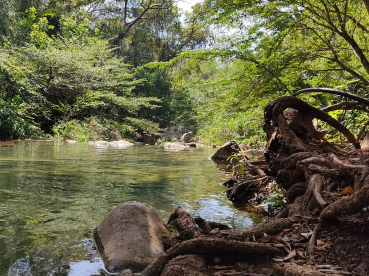Si permitimos explotación en el desvío, acaban al Arroyo Bruno: Indígenas