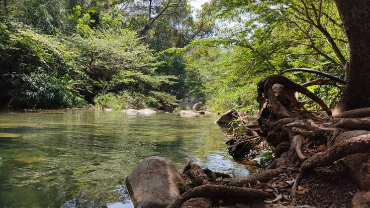 Si permitimos explotación en el desvío, acaban al Arroyo Bruno: Indígenas