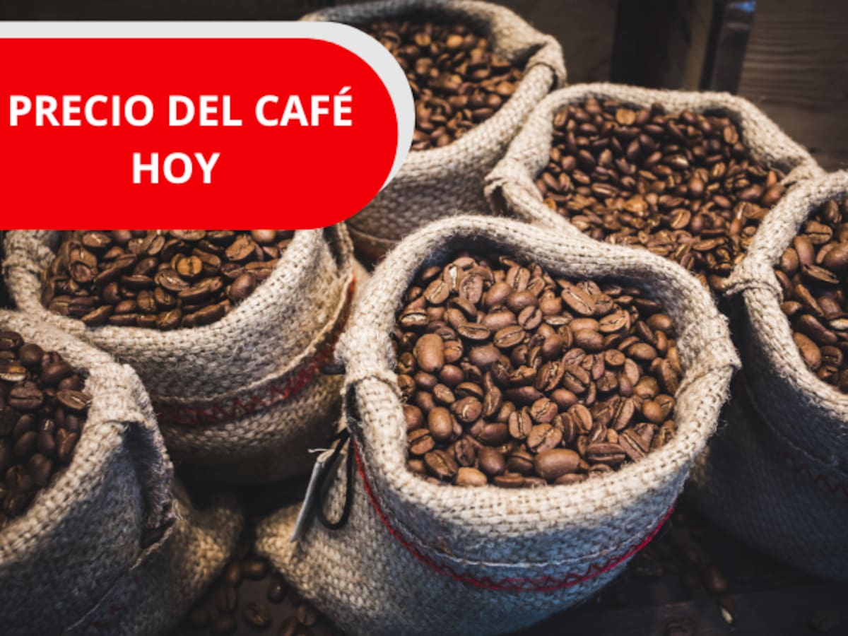 ¿Subió o bajó? Precio del café HOY 22 de mayo: así finaliza la semana