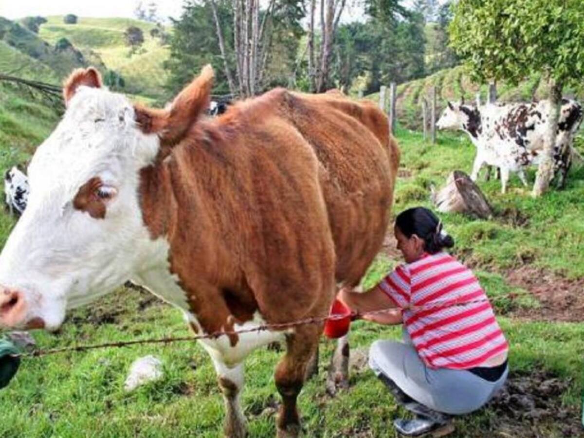 Anulada la prohibición del Gobierno para el reempaque de leche en polvo