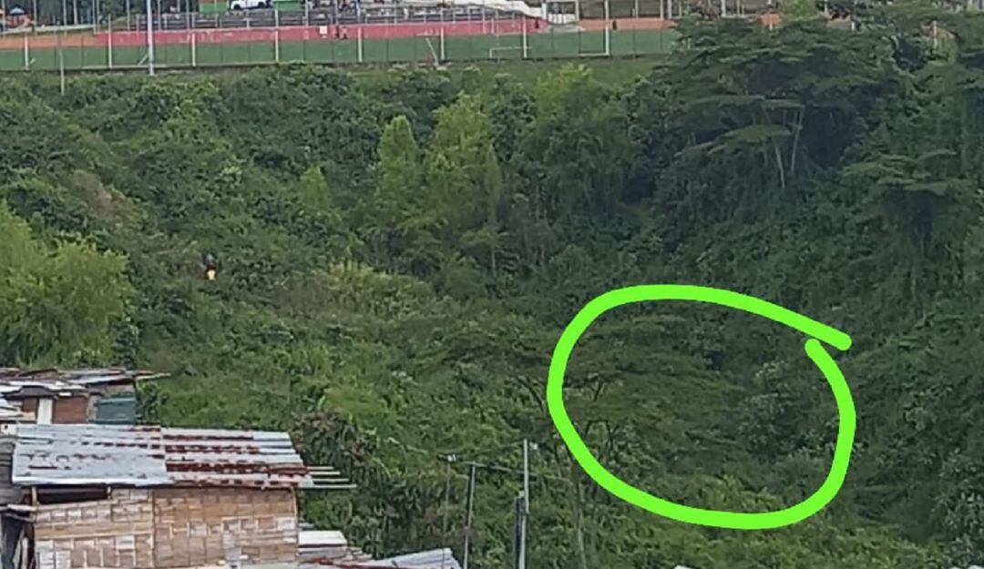 Arrayanes de Manizales