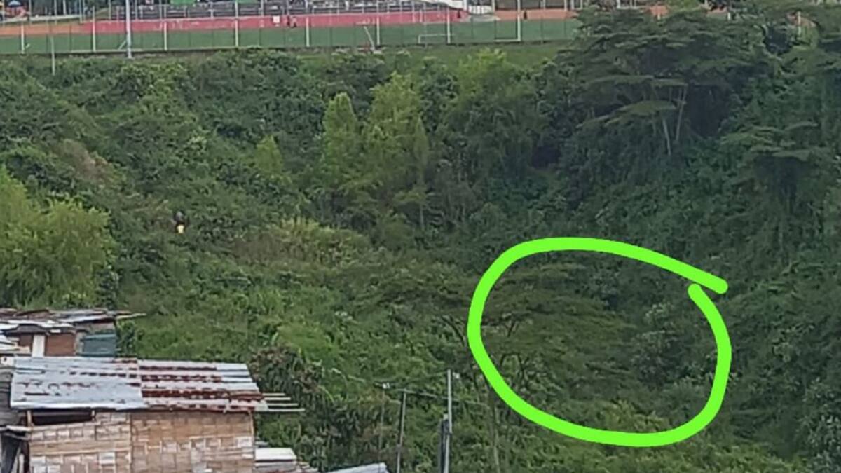 Cuerpo hallado en Arrayanes sería de un hombre con prisión domiciliaria